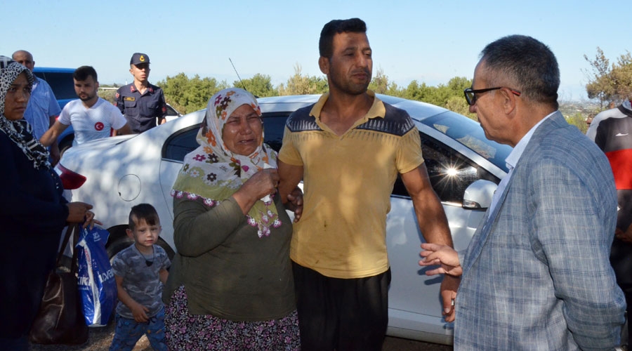 Anız yangını büyüdü, sıçradığı ev, araçlarla orman alanı ve zeytinlik yandı