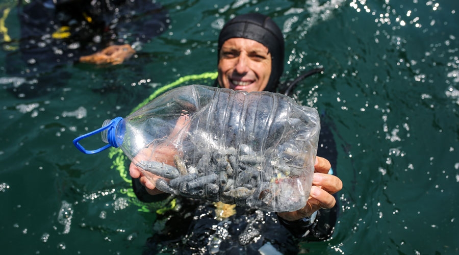 Falezlerde deniz dibinde kurşun tehdidi