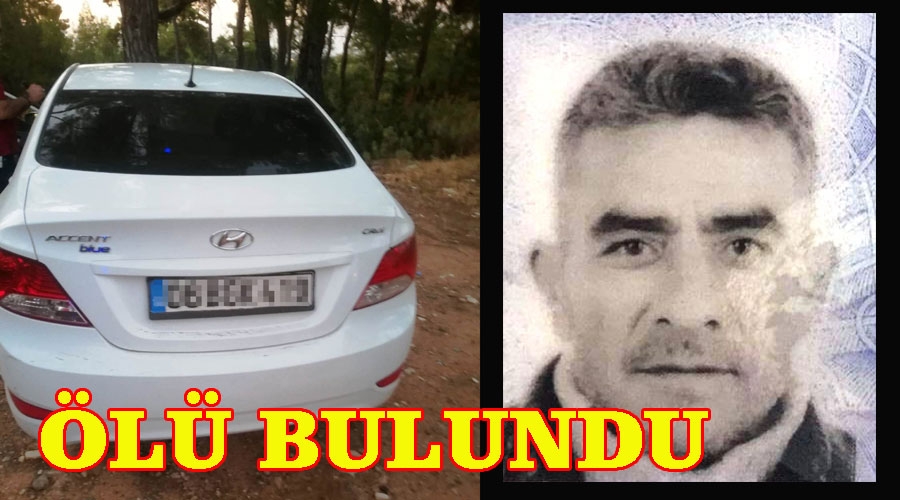 Ormanlık alanda otomobilinde ölü bulundu