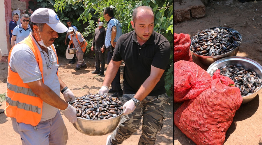Sağlıksız 1860 kg midye ve tavuk etine el konuldu