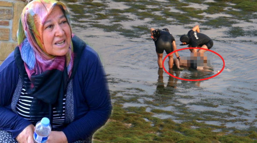 Annesinin,