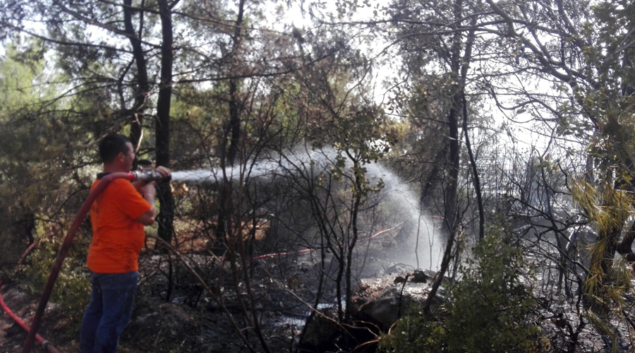 Antalya'da orman yangını: 3 hektarlık alan yandı