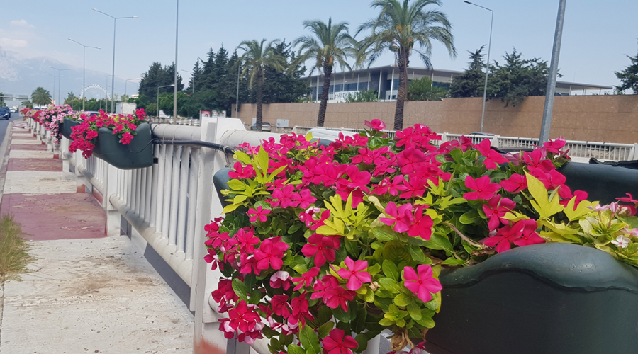 Büyükşehir, kenti çiçeklerle donattı