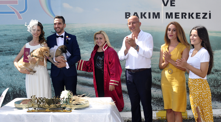Hayvansever çift, barınakta evlendi