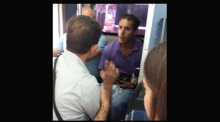 Bacaklarını bağladığı kediyi kemerine takıp, otobüse bindi