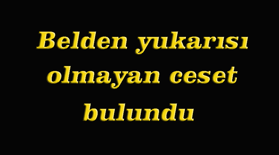 Ormanda belden yukarısı olmayan kadın cesedi bulundu