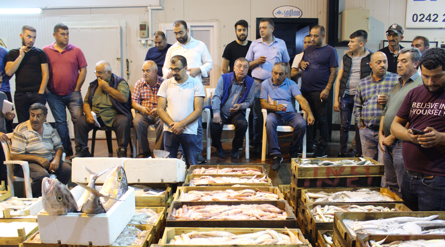 Akdeniz balıklarını yemenin tam zamanı Antalya Ses Gazetesi