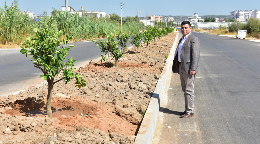 Tütüncü, Kepez'in 'Yeşil Seferberliği'ni inceledi