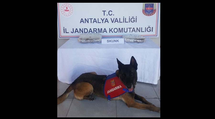 Kazakların içinde Antalya'ya getirdiği uyuşturucu ile yakalandı