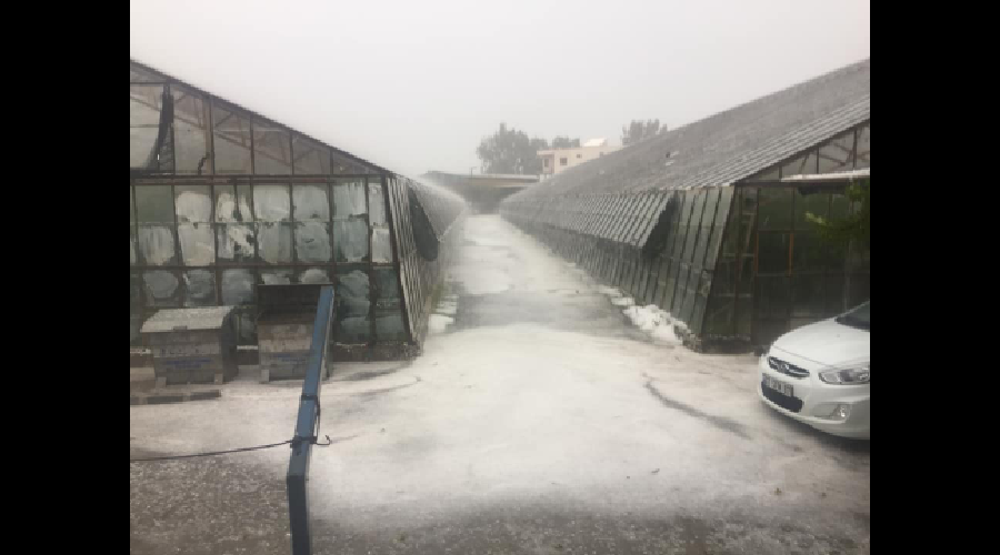 Kaş’ta fındık büyüklüğündeki dolu yağışı, bazı seralara zarar verdi