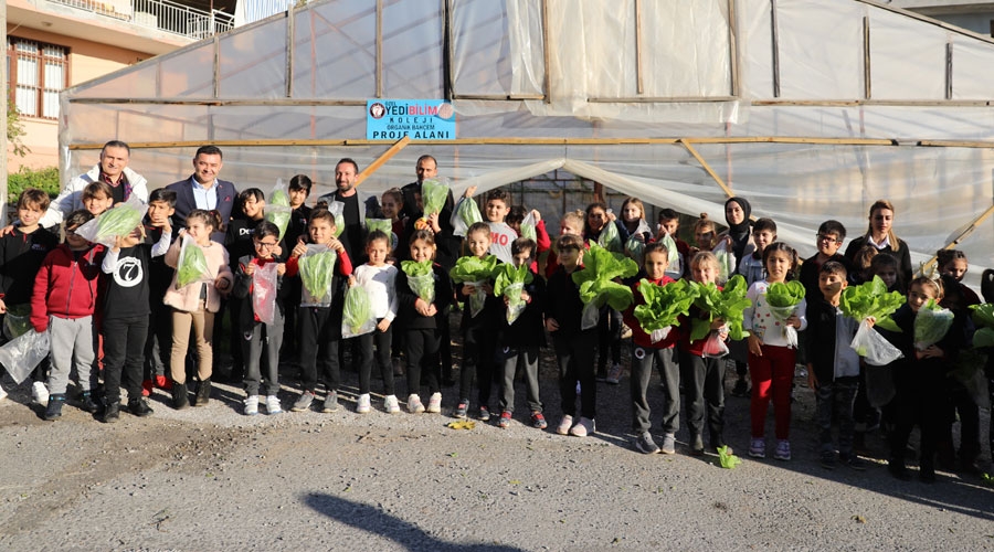 Minikler kurdukları serada organik sebze yetiştiriyor  